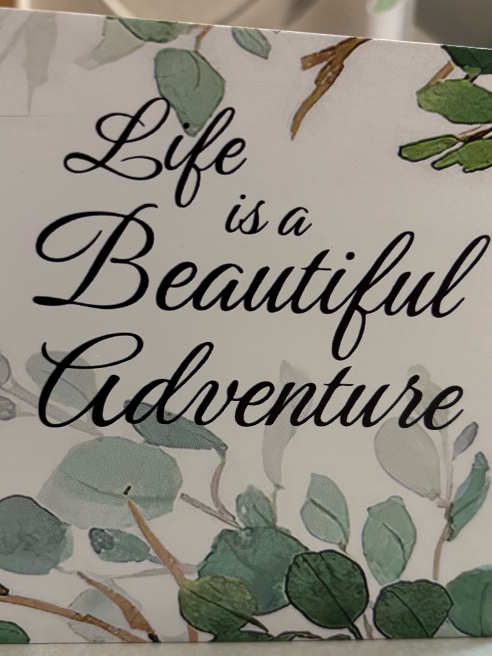 🎻5” X 5” Life is a Beautiful Adventure' Wall Sign - Black & Green